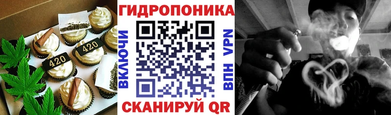закладка  Пыталово  Canna-Cookies конопля 